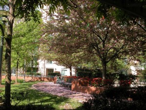 Courtyard in Downtown Bethesda by Taylor Bunnag at flickr