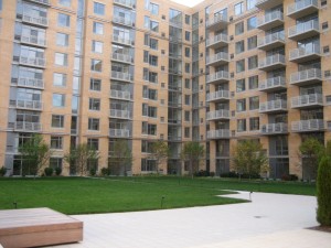 Vista Green