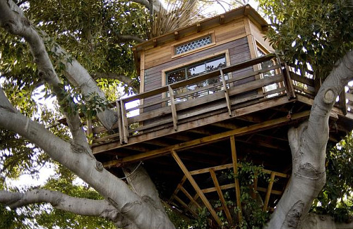 treehouse