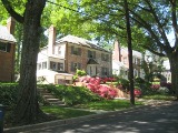 Crestwood: An Island of Serenity East of the Park
