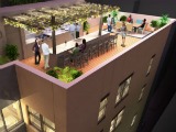 New Renderings of The Standard Eleven